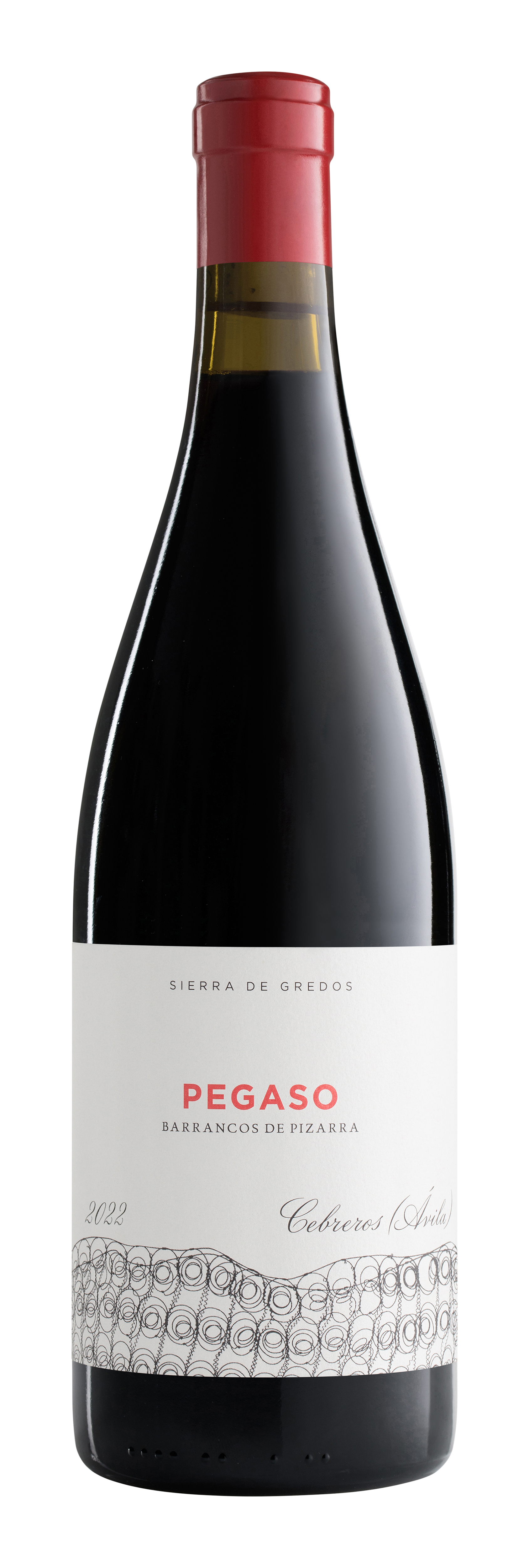 Telmo Rodríguez Pegaso Pizarra 2022